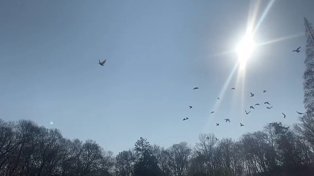 打工人打工魂打工都是人上人