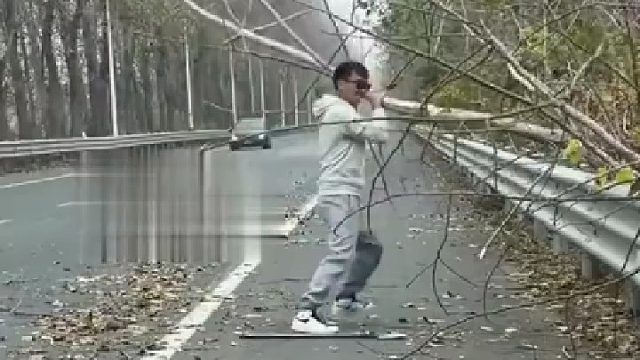 男子开车遇大树横倒 停车下去排险