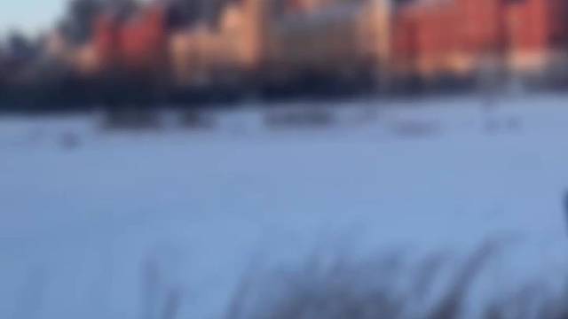 喜欢雪的修勾勾