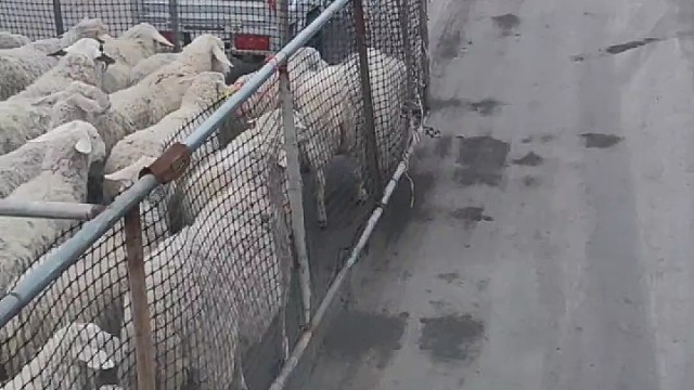 这上马路的办法不错不错哦支持