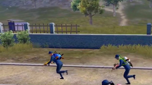 没事我们猪猪队会出手