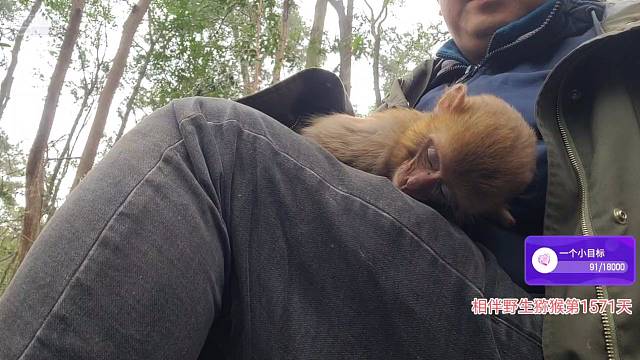 睡个好觉，好起来！