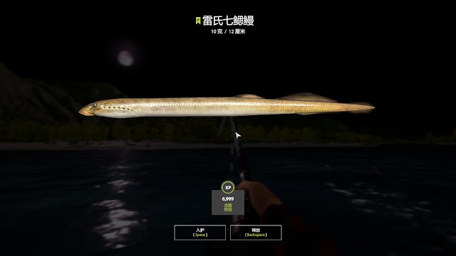 32图亚马河–雷氏七鳃鳗图鉴