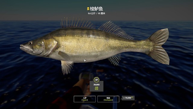 27图拉多加群岛–面条虫星梭鲈