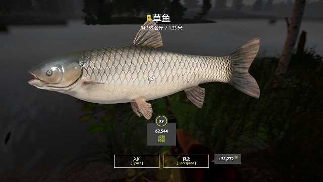 12图老奥–34K星草鱼，很多条了，我的黑草呢？