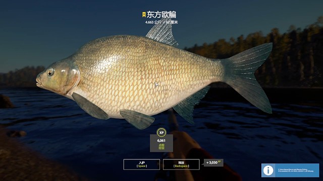 30图渔夫图鉴–星东方欧鳊，自测点位。