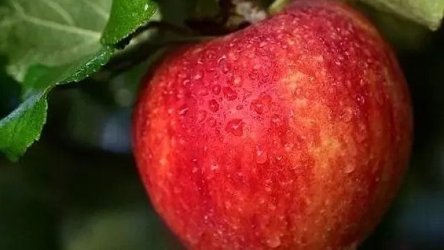 感谢 嗻老板的大火锅哈 吼吼 开饭了 仔也给放好了 期待使用