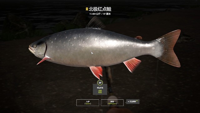 30图–老鼠打折箩碰瓷星北极，17K大狗，万物皆可碰