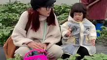 小姨带娃去摘草莓，萌娃捡起一块土喂进小姨嘴里，结果