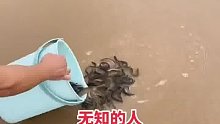 泥鳅：听我说谢谢你
