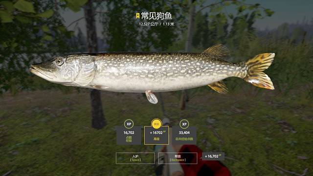 老奥狗子给星了