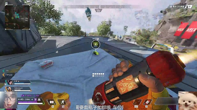 诚邀大家看大笨蛋