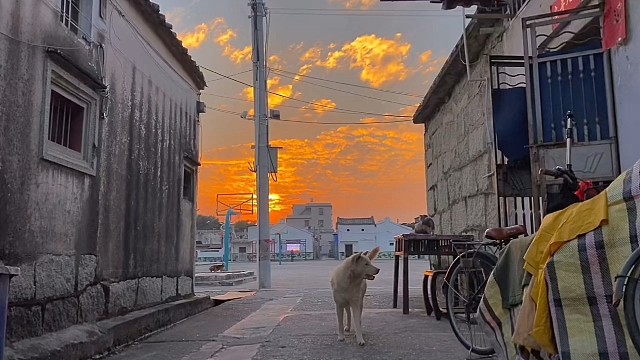 找寻梦想，加油
