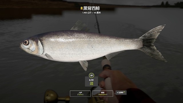 28图阿赫图巴–两连星黑背西非，里海口也不错