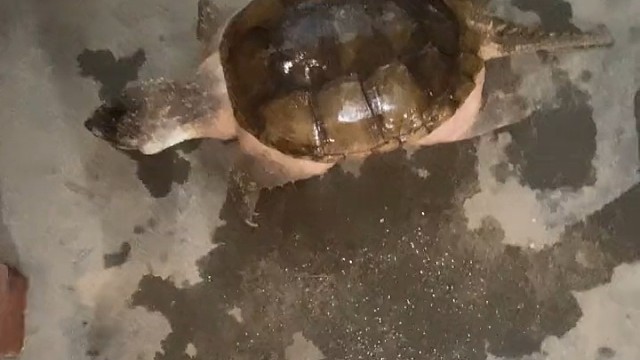 悔恨的泪水顺着嘴角缓缓流出？[大笑]