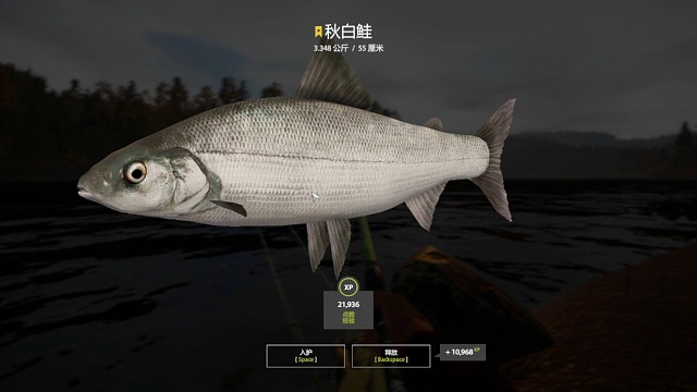 30图–星秋白，第二条了，我的高白呢。