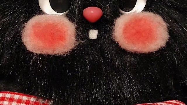 该溜子溜回来发个视频
