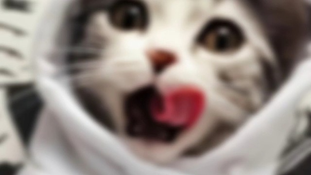 开心只是一瞬间