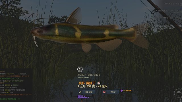 渔夫在线、中国DLC黄辣丁