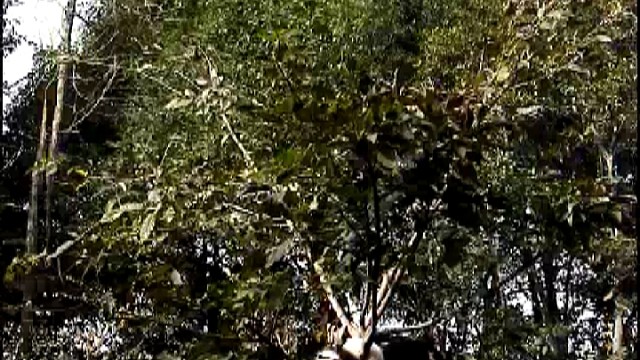 ：偶傲娇，偶得放纵。。。