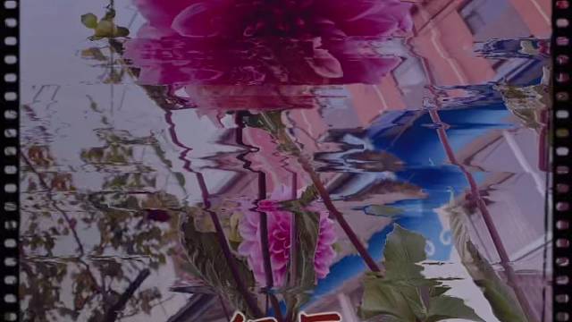 纯属个人喜好！