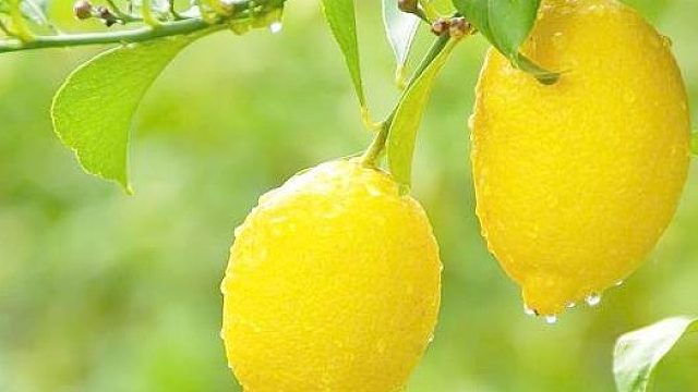 感谢 晓玛丽老板的大火锅喔 吼吼吼 开饭了 开饭了 今日份的晚餐