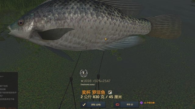 渔夫在线、中国DLC罗非鱼
