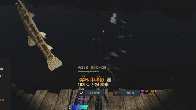 渔夫在线、中国DLC中华鳅