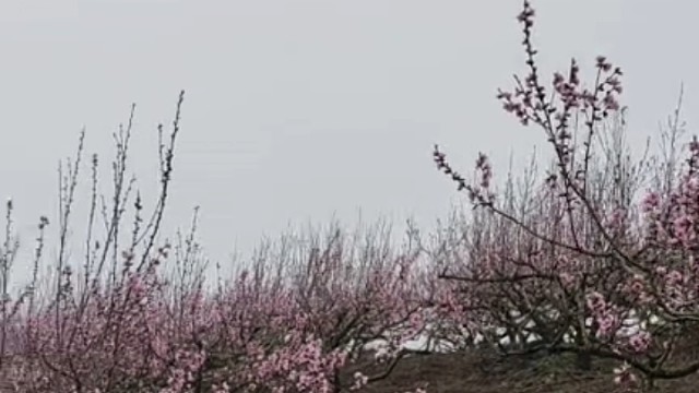 娱乐美景