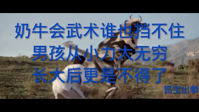 奶牛会武术谁也挡不住,谁也挡不住。男孩从小力大无穷。长大后更不了