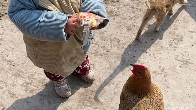 哭啥啊，一会儿就成老熟人了