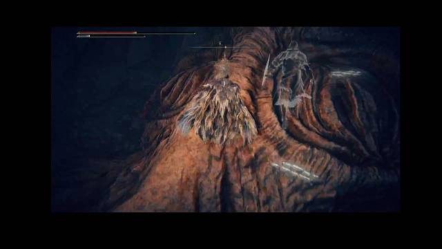 艾尔登法环死王子葛德文的脸和护符脓疮所在地