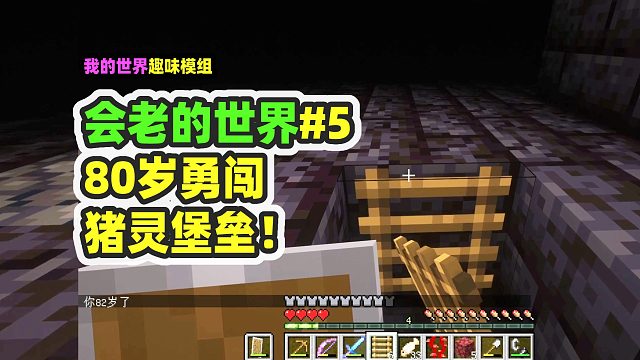 我的世界：会老的世界5，80岁老了失明，也要勇闯猪灵