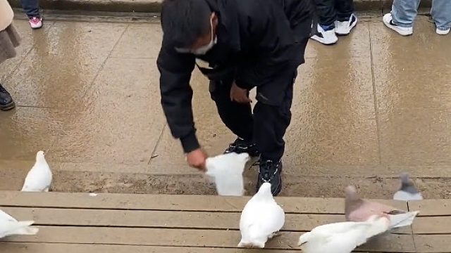 请问你的素质呢