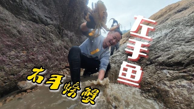 开春后岛上海货太丰富了，右手刚抓起大螃蟹，左手又来一条大鱼