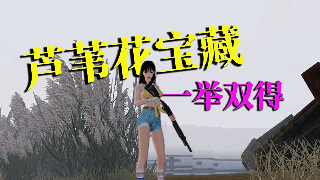 黎明觉醒生机：芦苇花宝藏，一举双得，额外再送一个