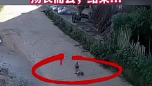 汽车在路上压死一只鸡扬长而去，结果