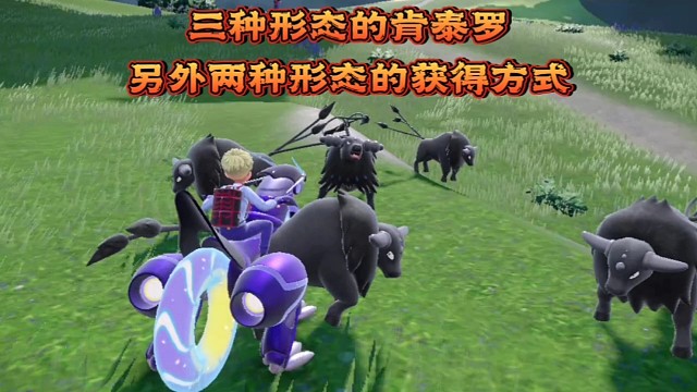 【宝可梦朱紫】黑色肯泰罗有三种形态捕捉方式