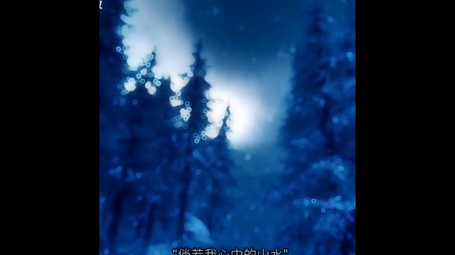 伤情啊！我们都是失败者，被抛弃的人！！