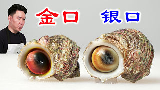 我飄了，居然敢吃牢底坐穿螺兄弟，金口蠑螺和銀口蠑螺