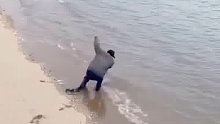 鰻魚(yú)溺水，危難之際大爺不顧個(gè)人安危飛檐走壁徒手把魚(yú)“救”了上來(lái)！