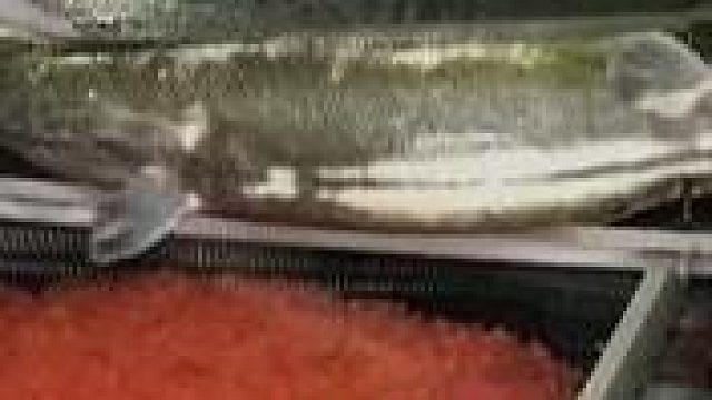 一定要看到最后