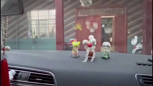 猫中哈士奇➕智商换的颜值