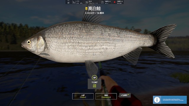 30图–星高白鲑（99星），这个鱼最少8个2.9，钓麻了，卡星一个半月，终于涨了。昨天跑了个星图刚