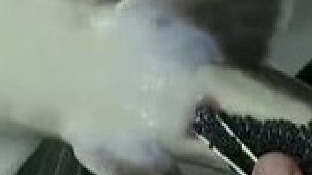 日本的“隔空”生取鱼子酱，取完下次接着再取，鱼：我谢谢你祖宗