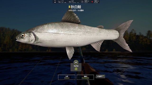 30图–第三条星秋白，emmm...蹲啥都给秋白