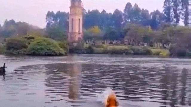 现实版的痛打落水狗哈哈