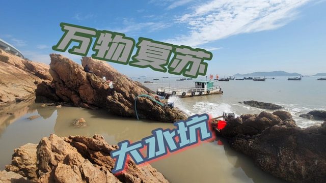 天气回暖万物复苏，大水坑海货泛滥，大鱼成群结队抓得太过瘾了