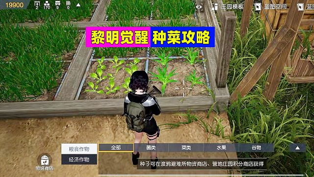 黎明觉醒生机：听说你想种菜？那就这样操作