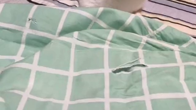 它出去可能是拿针和线了